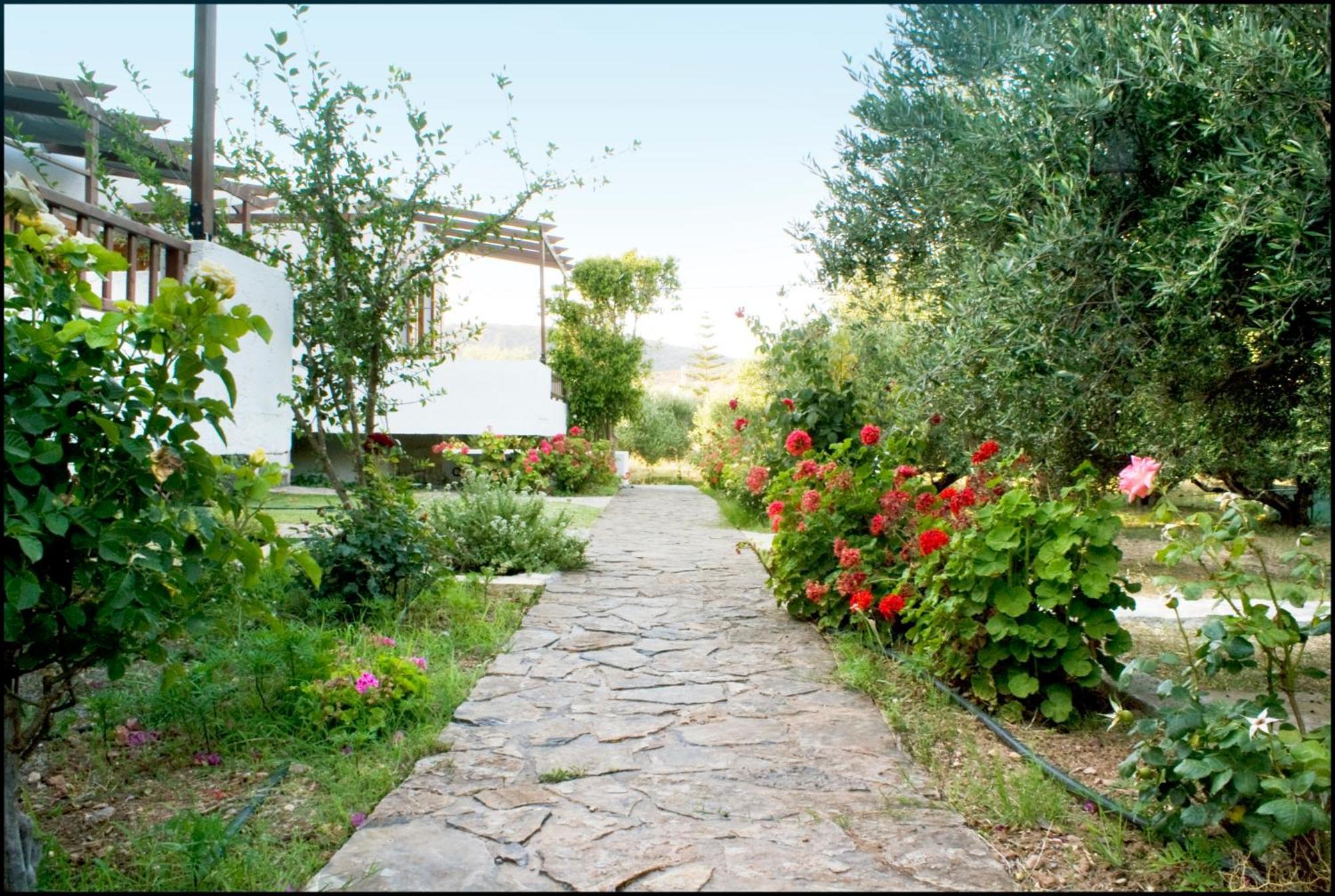 Voula'S Casa Di Mare Apartment Palekastro Exterior photo